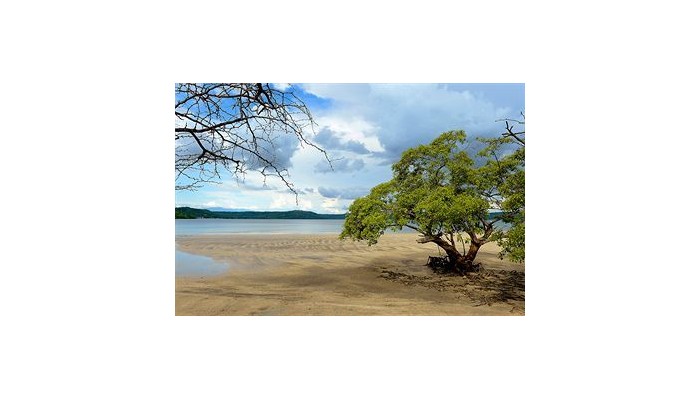 Andaz Peninsula Papagayo Resort, A Hyatt Hotel poza 5